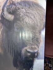 Vintage buffalo canvas for sale  Utica
