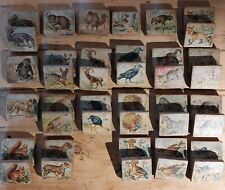 Bloques de alfabeto de animales de madera antiguos vintage - 2 juegos incompletos. Falta U&V  segunda mano  Embacar hacia Mexico