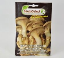 Micelio per funghi usato  Terlizzi