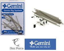 Gemini genie srt usato  Loreto