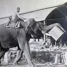 Antique 1918 elephant for sale  Niagara Falls