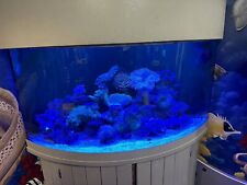 Gallon glass corner for sale  Boca Raton