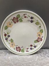 country lane plates woolworths for sale  DURHAM