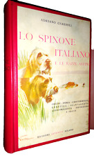 spinone cani usato  Italia