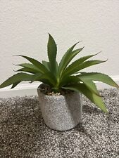 Artificial succulent plants for sale  Albuquerque