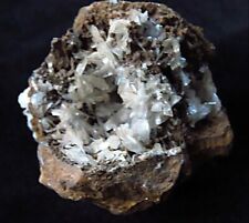 Hemimorphite crystals mexico for sale  East Aurora