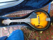 Rogue mandolin hardshell for sale  East Hampton