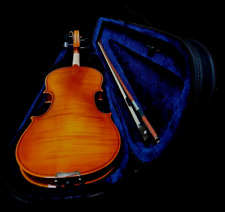 Violins bankruptcy new for sale  Ripley