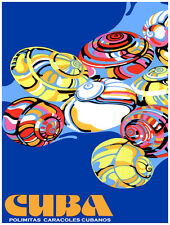 16x20"Decoration Poster.Interior room design art.Polymita Shell.Cuba.6384, used for sale  Shipping to South Africa