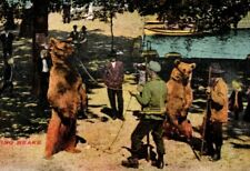 Postcard performing bears for sale  Hatboro
