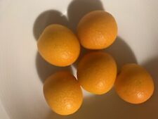 Japanische kumquat samen gebraucht kaufen  Uffing
