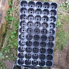 Cell plug plant for sale  HAILSHAM