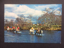 Postcard newtonmore pony for sale  UK