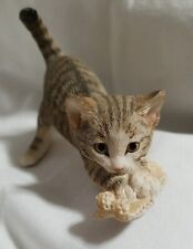 Adorable kitten playing for sale  Michigan City