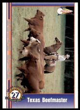 1993 Pacific Texas Express Texas Beefmaster Baseball Cards #104, used for sale  Shipping to South Africa