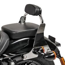 Sissy bar abnehmbar gebraucht kaufen  Wiehl