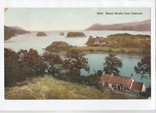 Vintage postcard menai for sale  HOLYHEAD