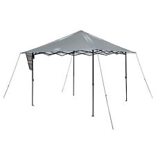 Coleman 10x10 canopy for sale  Lincoln