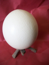 7 ostrich eggs for sale  Deming