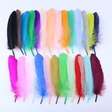 Dyed goose feathers for sale  BIRMINGHAM