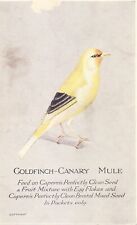 Capern 1920s goldfinch for sale  Ireland