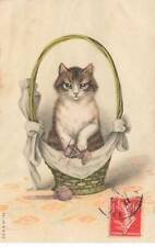 Animaux chat panier d'occasion  France