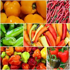 Hot chilli pepper for sale  BIRMINGHAM