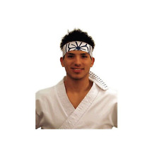 karate kid headband for sale  Walled Lake