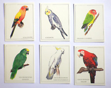 Cardlynx parrots full for sale  DARLINGTON