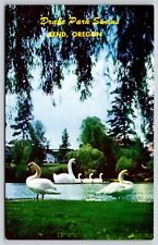 Drake Park Swans Bend Oregon OR Birds Animals Mirror Pond Vintage UNP Postcard for sale  Shipping to South Africa