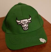 Vintage chicago bulls usato  Venezia