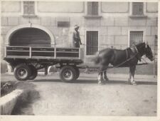 Carro agricolo cavallo usato  Cremona