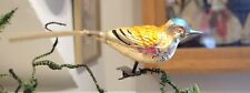 Blue yellow songbird for sale  Princeton
