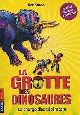 3941964 grotte dinosaures d'occasion  France