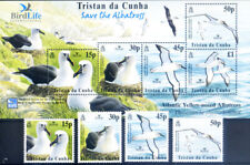 Fauna. 2003 albatroses. usato  Milano
