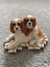 Cavalier king charles for sale  WATERLOOVILLE