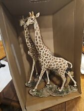 Giraffe giraffen afrika gebraucht kaufen  Frankenthal