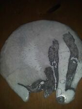 badger plate for sale  NEWCASTLE EMLYN