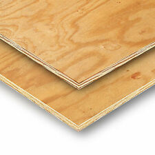 Shuttering plywood 2440mm for sale  CHELTENHAM