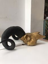 Golden ram skull for sale  BRISTOL
