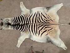 Burchell zebra skin for sale  Broken Arrow