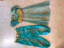 Jasmine dress aladdin for sale  Huntley
