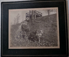 1920s goat cart for sale  Buffalo