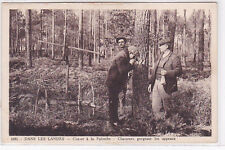 Landes chasse palombe d'occasion  France
