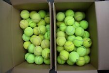 20 Tennisbälle Gebraucht Markenmix Hundespielzeug 