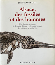 Alsace fossiles hommes d'occasion  Épinal