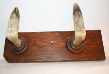 Taxidermy deer hoof for sale  Schenectady