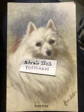 Mid C20th PC/ Rosa Bebb “Pom Pom” Cute Pomeranian Dog Art PC for sale  Shipping to South Africa