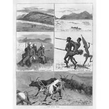 Zulu war scenes for sale  GLASGOW