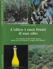Olivo suoi frutti usato  Italia